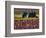 Tractor in the Tulip Field, Tulip Festival, Woodburn, Oregon, USA-Michel Hersen-Framed Photographic Print