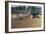 Tractor Ploughing a Field-Jeremy Walker-Framed Photographic Print