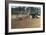 Tractor Ploughing a Field-Jeremy Walker-Framed Photographic Print