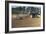 Tractor Ploughing a Field-Jeremy Walker-Framed Photographic Print
