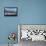 Tractor Ploughing Field, Near Fenor, County Waterford, Ireland-null-Framed Premier Image Canvas displayed on a wall