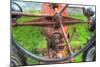 Tractor Seat 3-Robert Goldwitz-Mounted Giclee Print