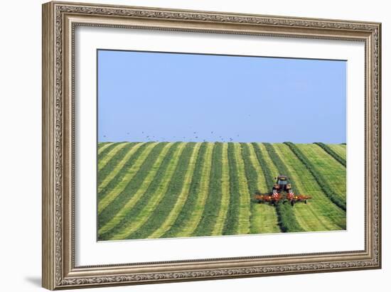 Tractor Turning Grass for Silage-Jeremy Walker-Framed Photographic Print