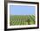 Tractor Turning Grass for Silage-Jeremy Walker-Framed Photographic Print