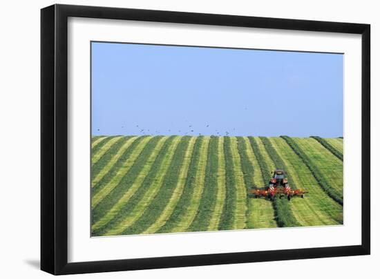 Tractor Turning Grass for Silage-Jeremy Walker-Framed Photographic Print