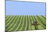 Tractor Turning Grass for Silage-Jeremy Walker-Mounted Photographic Print