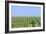 Tractor Turning Grass for Silage-Jeremy Walker-Framed Photographic Print