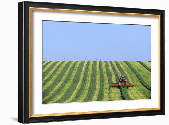 Tractor Turning Grass for Silage-Jeremy Walker-Framed Photographic Print