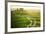 Tractor-Marcin Sobas-Framed Photographic Print