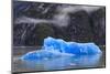 Tracy Arm Fjord, clearing mist, blue icebergs and cascades, near South Sawyer Glacier, Alaska, Unit-Eleanor Scriven-Mounted Photographic Print