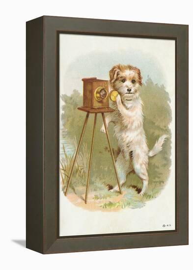 Trade Card of a Terrier Photographer-null-Framed Premier Image Canvas