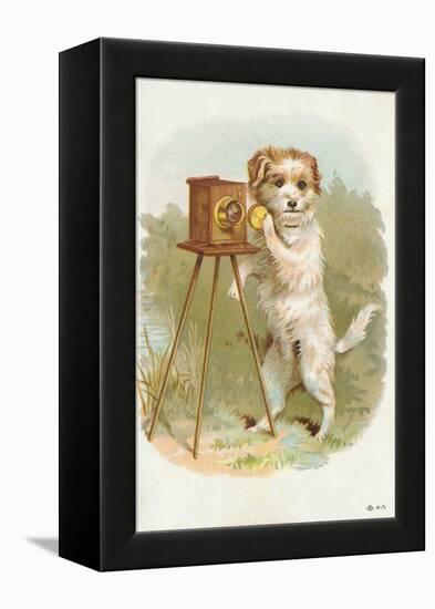 Trade Card of a Terrier Photographer-null-Framed Premier Image Canvas