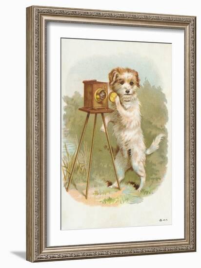 Trade Card of a Terrier Photographer-null-Framed Giclee Print