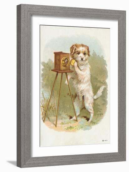 Trade Card of a Terrier Photographer-null-Framed Giclee Print