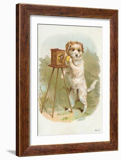 Trade Card of a Terrier Photographer-null-Framed Giclee Print