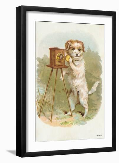 Trade Card of a Terrier Photographer-null-Framed Giclee Print