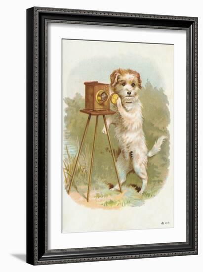 Trade Card of a Terrier Photographer-null-Framed Giclee Print