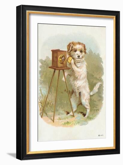 Trade Card of a Terrier Photographer-null-Framed Giclee Print