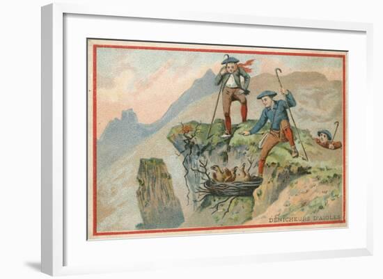 Trade Card with an Image of Men Stealing Eagle Eggs-null-Framed Giclee Print