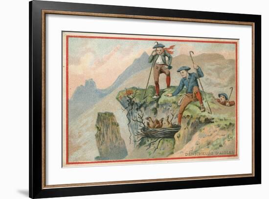 Trade Card with an Image of Men Stealing Eagle Eggs-null-Framed Giclee Print