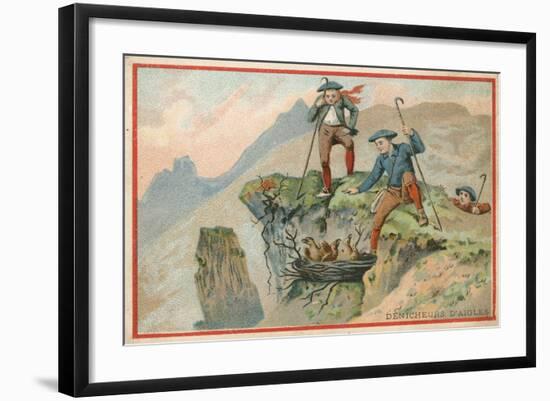 Trade Card with an Image of Men Stealing Eagle Eggs-null-Framed Giclee Print