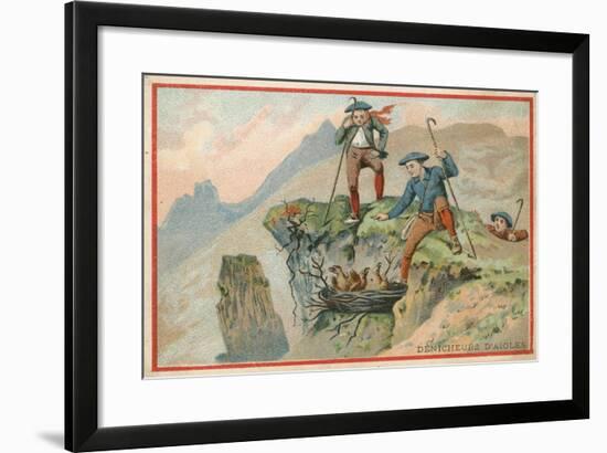 Trade Card with an Image of Men Stealing Eagle Eggs-null-Framed Giclee Print