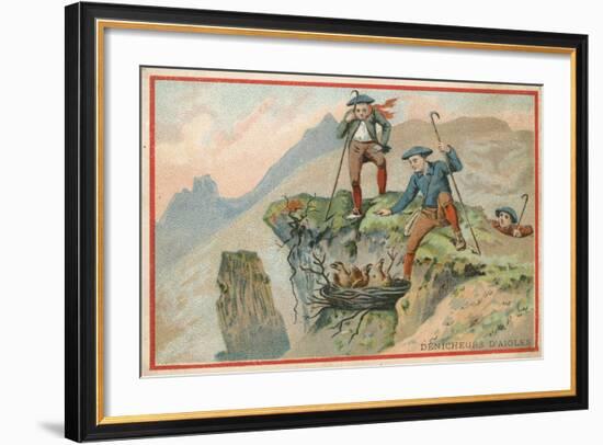 Trade Card with an Image of Men Stealing Eagle Eggs-null-Framed Giclee Print