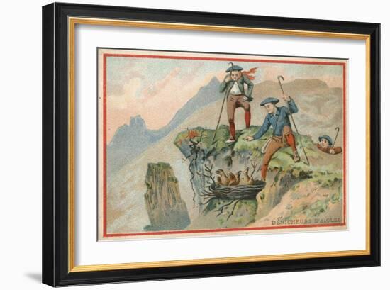 Trade Card with an Image of Men Stealing Eagle Eggs-null-Framed Giclee Print