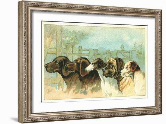 Trade Card with the Profiles of Five Different Dog Breeds-null-Framed Giclee Print