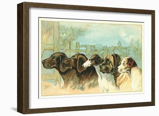 Trade Card with the Profiles of Five Different Dog Breeds-null-Framed Giclee Print