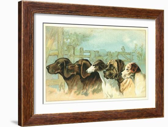 Trade Card with the Profiles of Five Different Dog Breeds-null-Framed Giclee Print