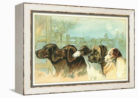 Trade Card with the Profiles of Five Different Dog Breeds-null-Framed Premier Image Canvas