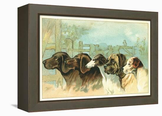 Trade Card with the Profiles of Five Different Dog Breeds-null-Framed Premier Image Canvas