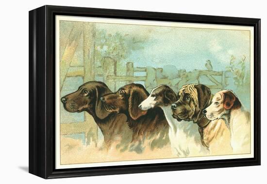 Trade Card with the Profiles of Five Different Dog Breeds-null-Framed Premier Image Canvas