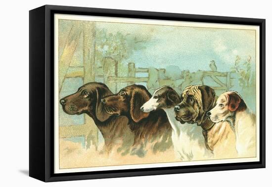 Trade Card with the Profiles of Five Different Dog Breeds-null-Framed Premier Image Canvas