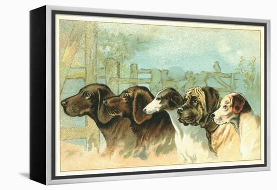 Trade Card with the Profiles of Five Different Dog Breeds-null-Framed Premier Image Canvas