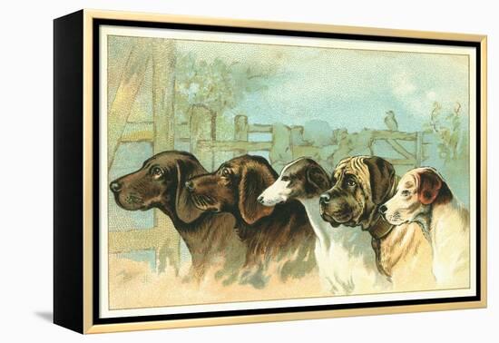 Trade Card with the Profiles of Five Different Dog Breeds-null-Framed Premier Image Canvas