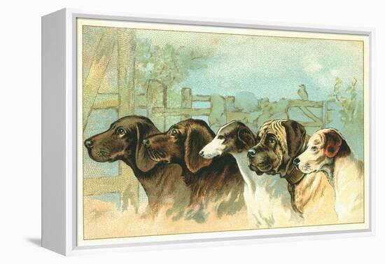 Trade Card with the Profiles of Five Different Dog Breeds-null-Framed Premier Image Canvas