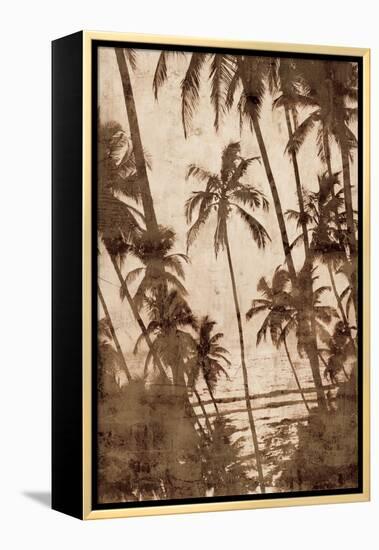 Trade Winds I-John Seba-Framed Stretched Canvas