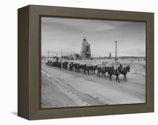 Trademark Twenty Mule Team of the US Borax Co. Pulling Wagon Loaded with Borax-Ralph Crane-Framed Premier Image Canvas