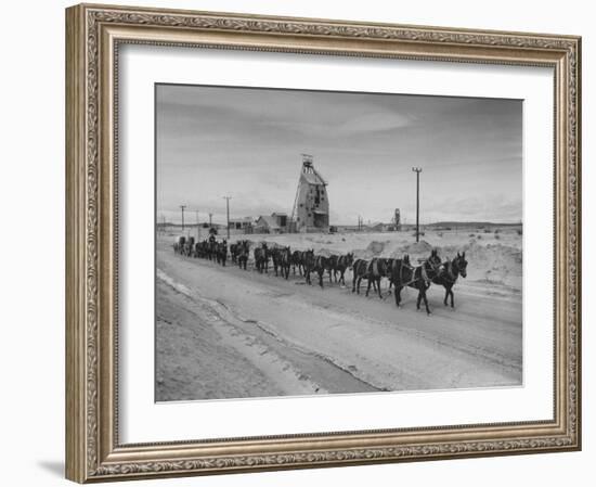 Trademark Twenty Mule Team of the US Borax Co. Pulling Wagon Loaded with Borax-Ralph Crane-Framed Photographic Print