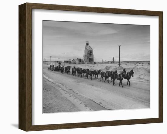 Trademark Twenty Mule Team of the US Borax Co. Pulling Wagon Loaded with Borax-Ralph Crane-Framed Photographic Print