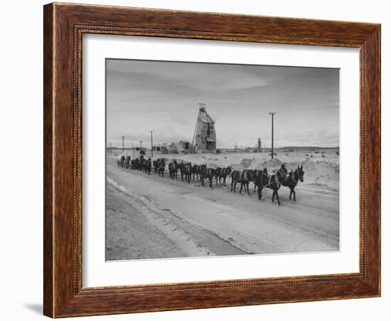 Trademark Twenty Mule Team of the US Borax Co. Pulling Wagon Loaded with Borax-Ralph Crane-Framed Photographic Print