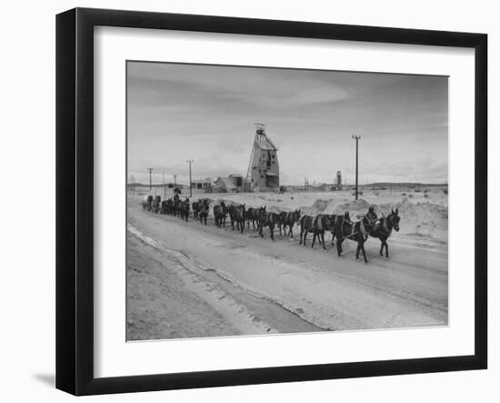 Trademark Twenty Mule Team of the US Borax Co. Pulling Wagon Loaded with Borax-Ralph Crane-Framed Photographic Print