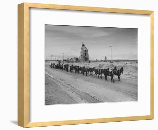 Trademark Twenty Mule Team of the US Borax Co. Pulling Wagon Loaded with Borax-Ralph Crane-Framed Photographic Print