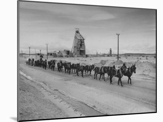 Trademark Twenty Mule Team of the US Borax Co. Pulling Wagon Loaded with Borax-Ralph Crane-Mounted Photographic Print
