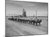 Trademark Twenty Mule Team of the US Borax Co. Pulling Wagon Loaded with Borax-Ralph Crane-Mounted Photographic Print