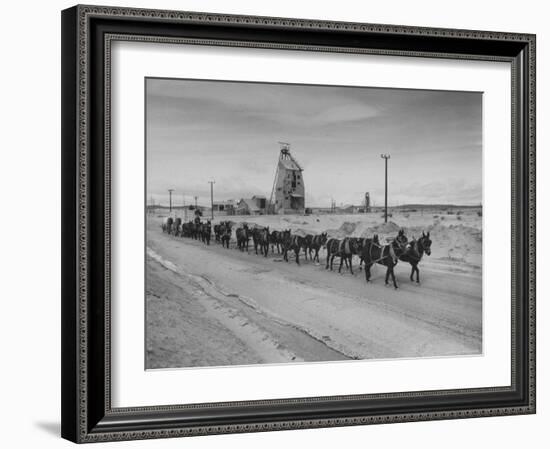 Trademark Twenty Mule Team of the US Borax Co. Pulling Wagon Loaded with Borax-Ralph Crane-Framed Photographic Print