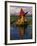 Traditiona Totora Reed Boat & Aymara, Lake Titicaca, Bolivia / Peru, South America-Pete Oxford-Framed Photographic Print