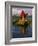 Traditiona Totora Reed Boat & Aymara, Lake Titicaca, Bolivia / Peru, South America-Pete Oxford-Framed Photographic Print